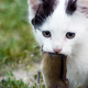 Image for article titled The Best of Gizmodo This Week